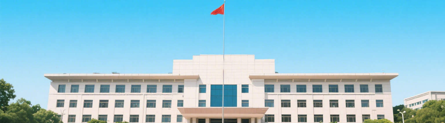 政府画面建设.jpg
